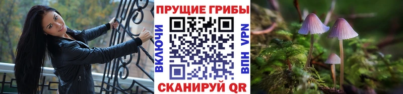 Галлюциногенные грибы Cubensis Верхняя Пышма