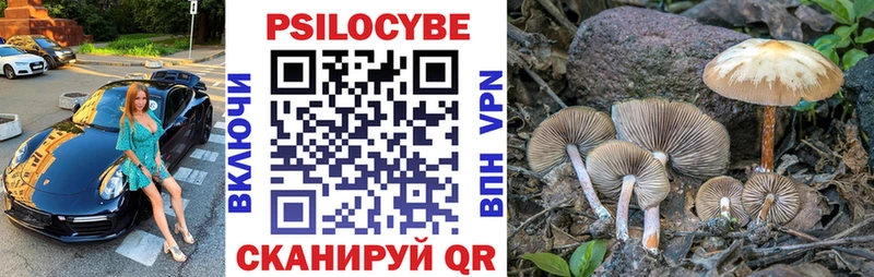 Галлюциногенные грибы мицелий  Верхняя Пышма 