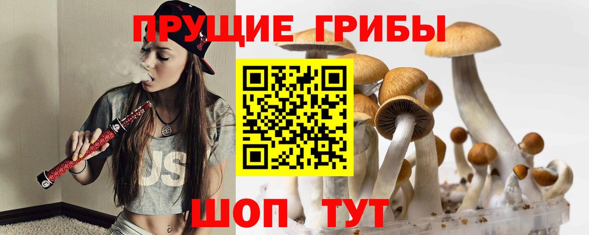 Верхняя Пышма  Галлюциногенные грибы Psilocybine cubensis  Вход с VPN 