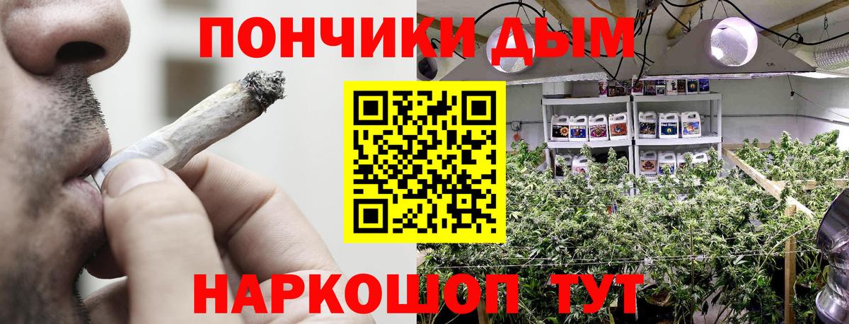 Конопля планчик Верхняя Пышма
